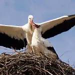 Lägenhet Agrituristico Ai Tre Castelli Moruzzo