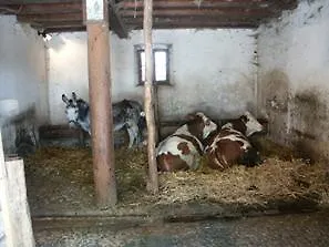 Agrituristico Ai Tre Castelli