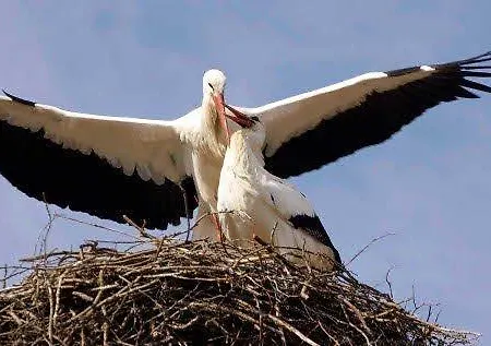 Lejlighed Agrituristico Ai Tre Castelli Moruzzo
